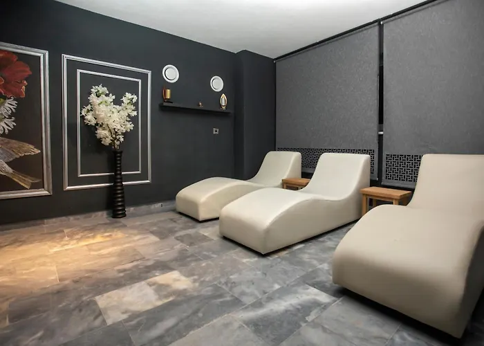 Anemon Kent 4* Uşak