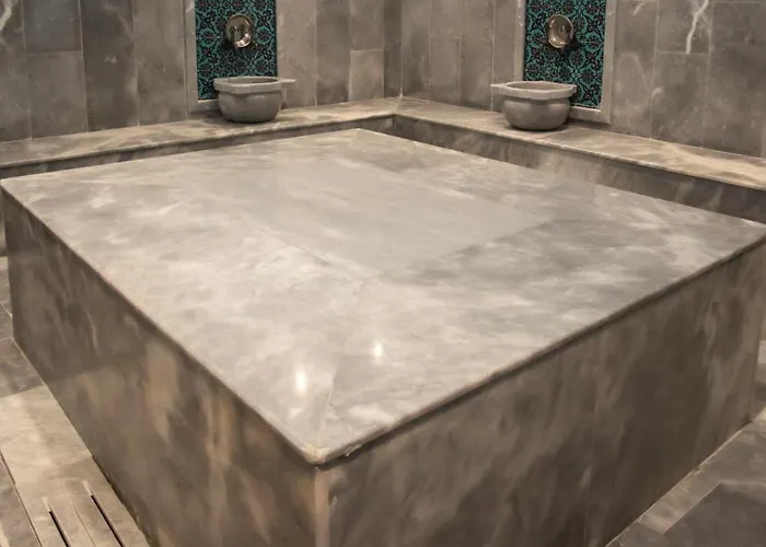 Anemon Kent מלון 4*